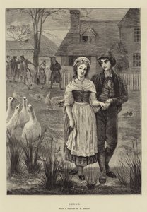 Gansos de Edgar Barclay